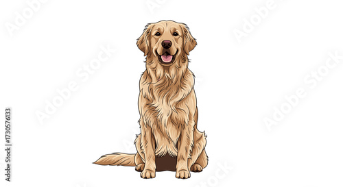 Friendly Golden Retriever dog sitting patiently, looking happy and loyal, detailed vector illustration isolated on transparent background, ideal pet companion