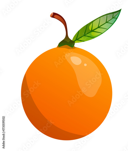 Orange Fruit Illustration 