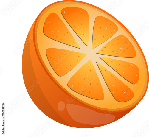 Slice of Orange Fruit Illustration 