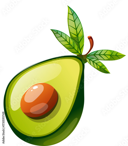 Slice of Avocado Fruit Illustration 