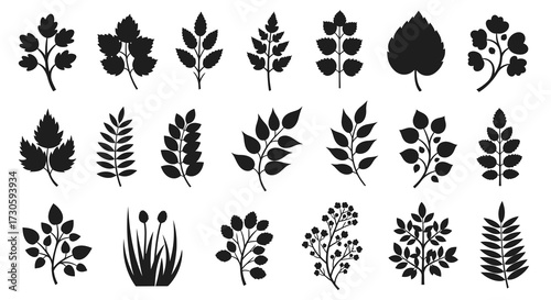 Botanical silhouettes offering a simple charm and timeless appeal in vector format