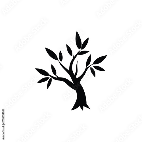  Olive Tree Silhouette Icon Elegant Black Vector Isolated on White Background