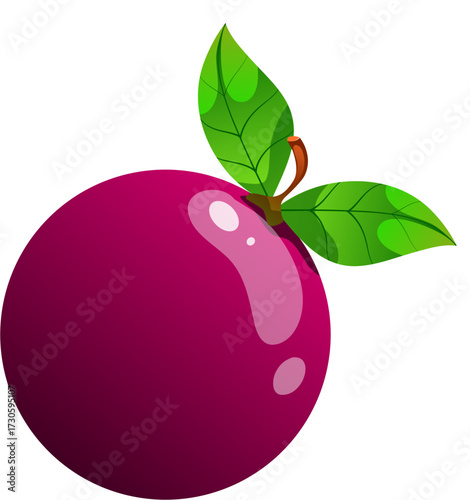 Passion Fruit Illustration 