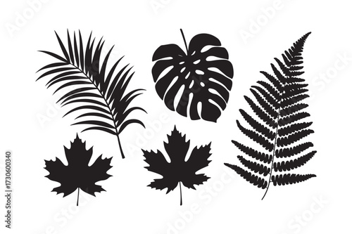 Wallpaper Mural Silhouettes of tropical and deciduous leaves on a white background Torontodigital.ca