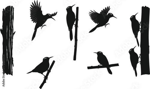 Woodpecker bird silhouette vector illustration set with perched and flying poses on tree and branches, black wildlife animal graphic design collection