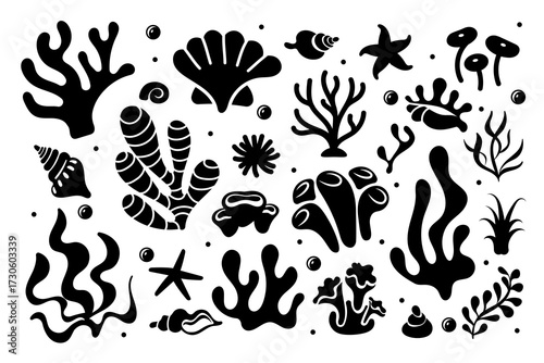 Silhouette Sea creatures. Hand drawn monochrome design elements. Tropical corals, Sea Stars and shells. Underwater ecosystem.