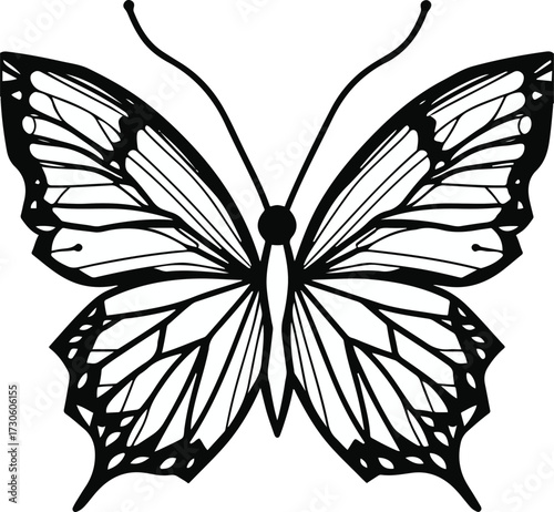 Geometric butterfly wings, symmetrical pattern line art, fashion accessory ready 1