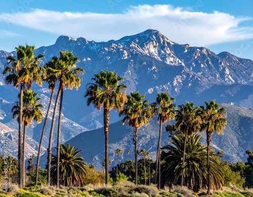 Wallpaper Mural Palm trees by a mountain range Torontodigital.ca