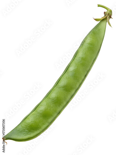 fresh green bean pod isolated on transparent background
