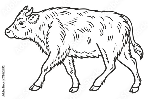 Vector illustration of a single cow peacefully walking, minimal black outline, isolated on clean white background, cute concept