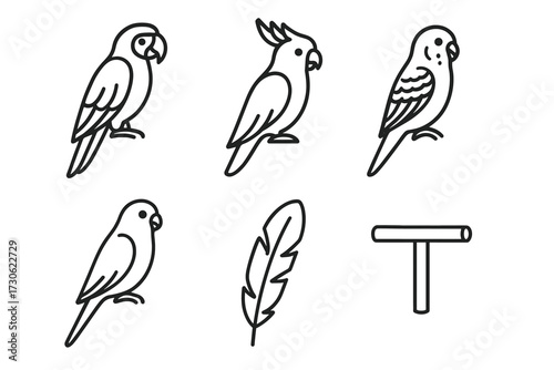 Outline illustrations of various parrot species and bird features