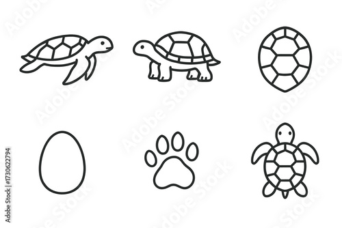 Set of turtle and tortoise outline icons including egg, paw, and shell