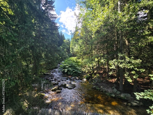 River