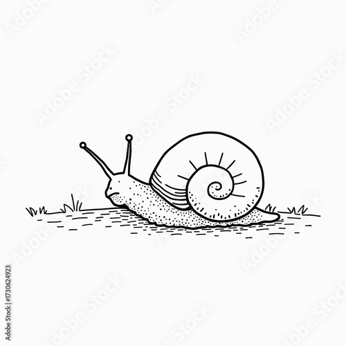 Simple illustration of a snail crawling on the ground  