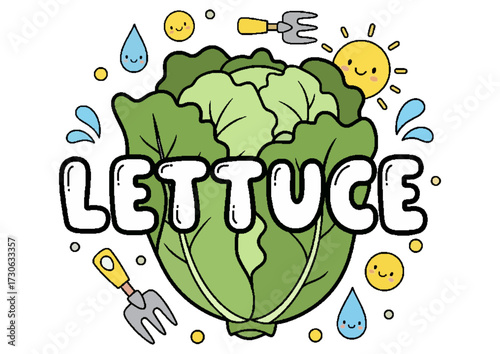 Fresh green cabbage head in a vibrant, illustrative style for culinary use