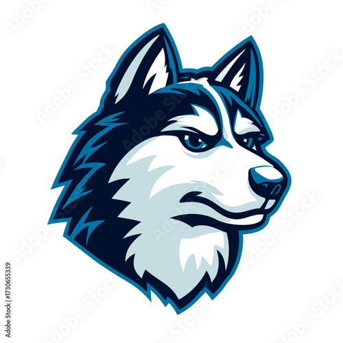 Powerful husky dog head vector illustration, fierce animal mascot design for sports teams or branding, blue and white graphic.