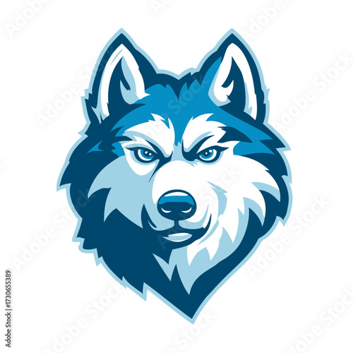 Powerful blue wolf head mascot vector illustration with intense gaze, strong wild canine animal graphic for sports teams