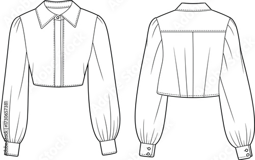 Cad drawing flat vector illustration of cropped women blouse with long puff sleeves, button cuffs, pointed collar and back yoke seam