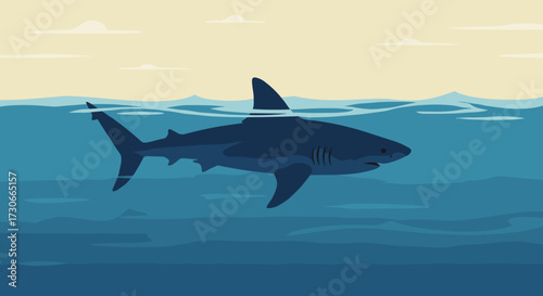 Shark swimming in ocean waters under cloudy sky  