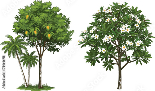 Realistic tropical trees illustration with mango tree, palm tree, frangipani tree, green leaves, flowers, exotic fruit, summer garden vegetation