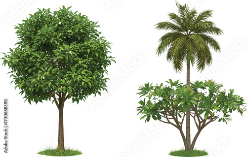 Realistic tropical trees illustration with green leaves, palm tree, flowering frangipani, nature design, isolated botanical vegetation for landscape decoration