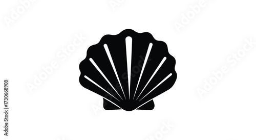 Detailed black seashell graphic illustration with striking radial lines silhouette