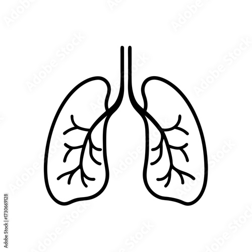 Outline drawing of human lungs and trachea silhouette