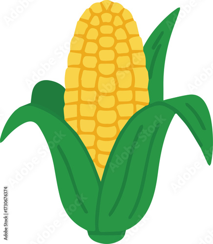 Vector art of a ripe ear of corn with green husks