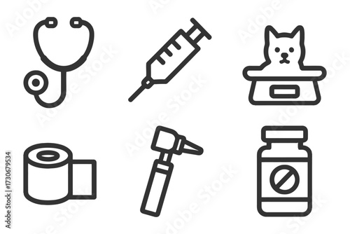 A set of medical symbols including a stethoscope, syringe, and a scale. Concept of professionalism and care for animals. Vector.