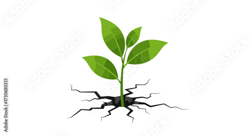 A small green plant breaks through cracked earth showing resilience and new growth in a difficult environment.