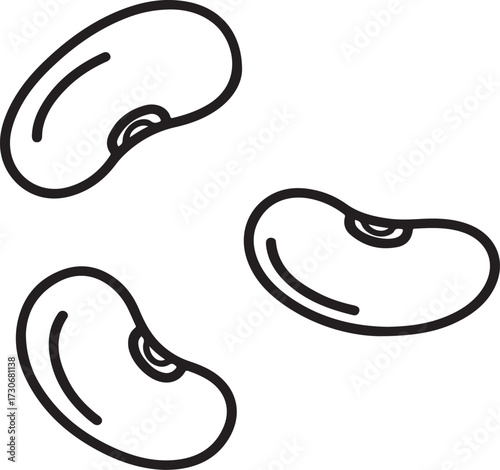 Three Kidney Beans Outline legumes food