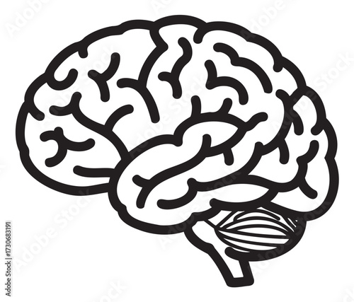 Black and white illustration of human brain anatomy - stock vector