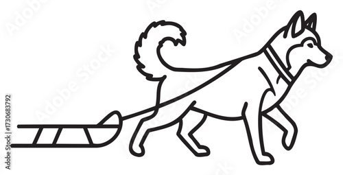 Outline drawing of husky pulling a sled with harness detail - stock vector