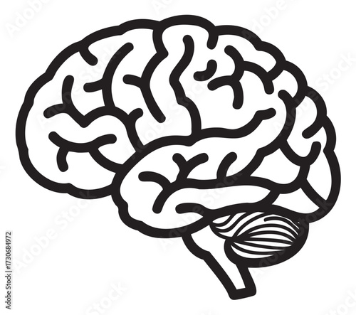Black and white brain illustration with detailed internal structure - stock vector