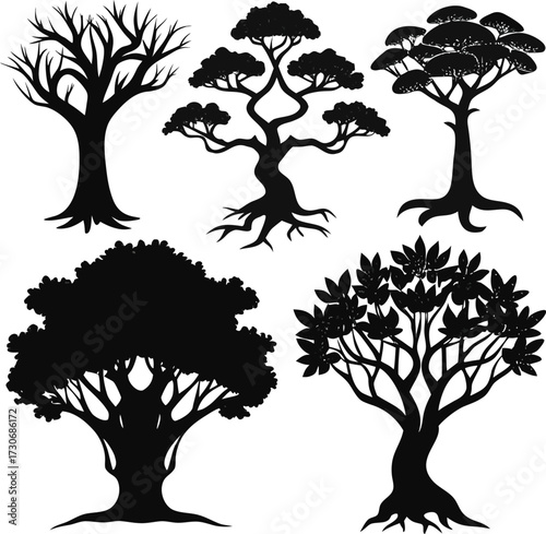 Elegant Silhouettes of Various Tree Species Displayed in Striking Black and White Contrast