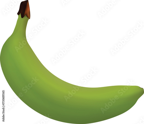 illustration of a green unripe banana