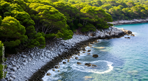 Fototapeta Naklejka Na Ścianę i Meble -  rocky coastline with lush green trees and blue sea