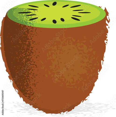 illustration of a kiwi fruit on a white background