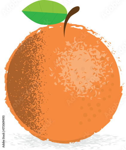 fresh orange fruit with white backgraund 