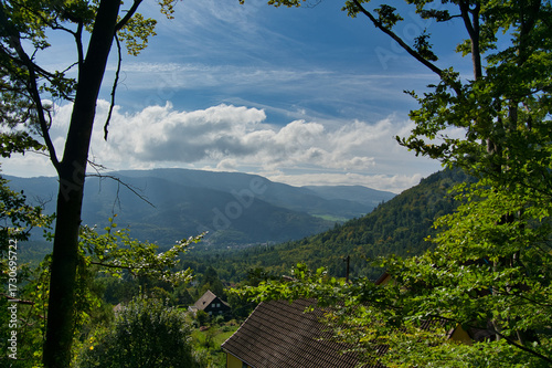 Podobny obraz