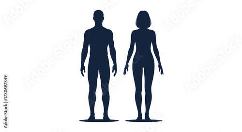 Silhouettes of a male and female figure standing side by side representing human anatomy and gender.