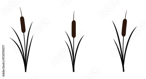 Simple illustration of cattails and slender leaves a dark outline silhouette