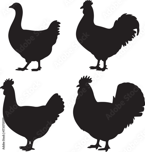 set of Goose, Chicken, Rooster, Turkey silhouette vector on white background