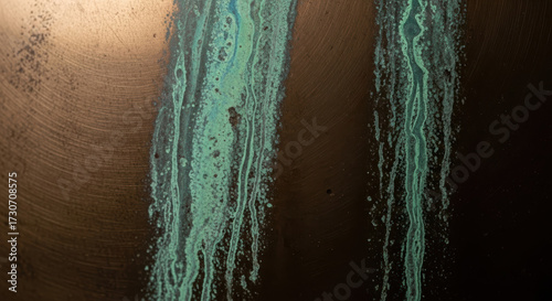 Vászonkép Abstract Texture of Green Patina Streaks on Dark Surface