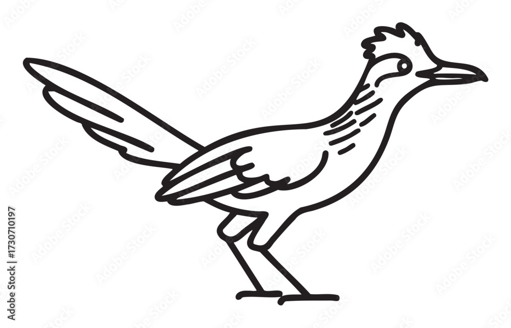 Fototapeta premium Black and white roadrunner illustration with bold lines and distinct features - stock vector