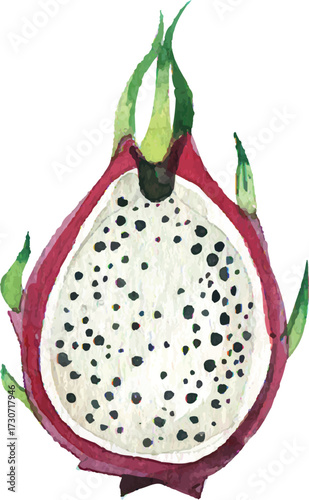 dragon fruit isolated on white background 