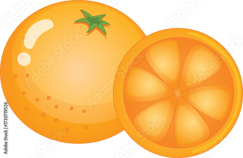 vector illustration of an orange