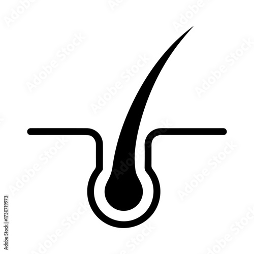 hair root follicle anatomy icon