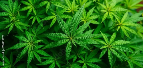 Intricate cannabis leaf pattern on vibrant green background,  hemp,  macro