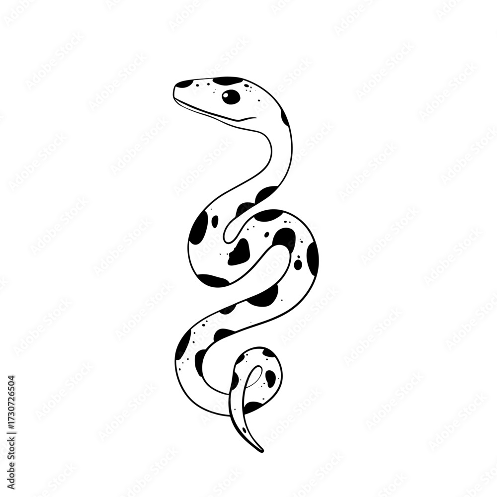 Fototapeta premium Boa Constrictor. Boa Constrictor simple black and white line art vector logo